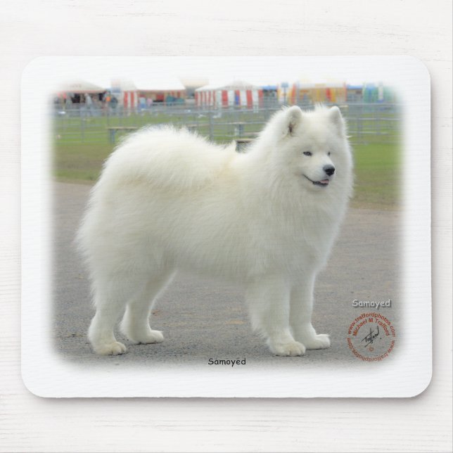 Tapis De Souris Samoyed (Devant)