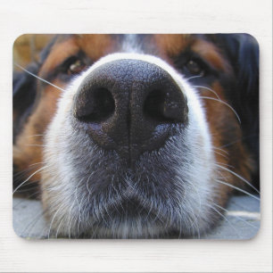 Tapis De Souris Samson