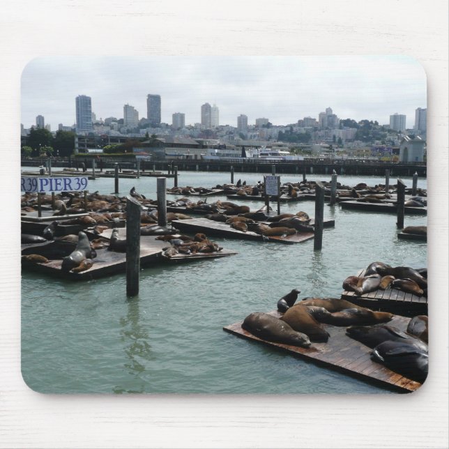 Tapis De Souris San Francisco et Pier 39 Sea Lions City Skyline (Devant)