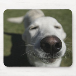 Tapis De Souris Santa Fe, Nouveau-Mexique
