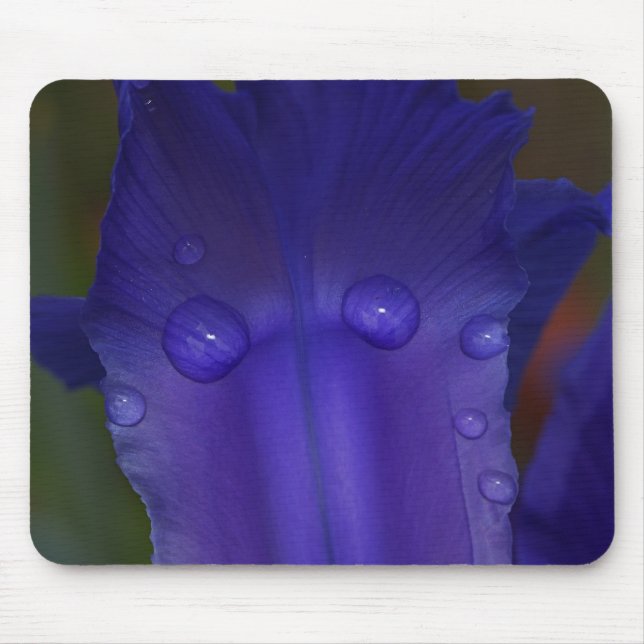 Tapis De Souris Sapphire Serenity  (Devant)