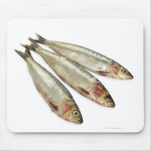 Tapis De Souris Sardines (pilchards)
