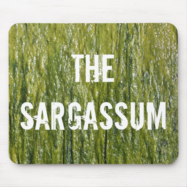TAPIS DE SOURIS SARGASSUM ! (Devant)