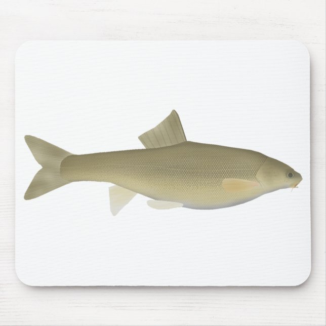 Tapis De Souris Sattar Snowtrout (Devant)