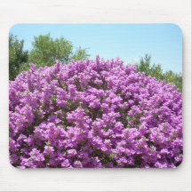 Sauge de floraison Mousepad du Texas