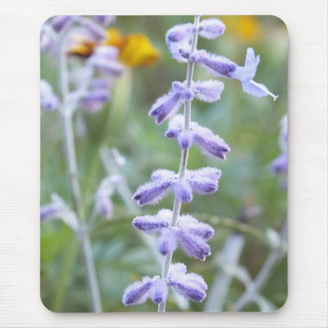 Tapis De Souris Sauge russe pourpre -Pervoskia (Devant)