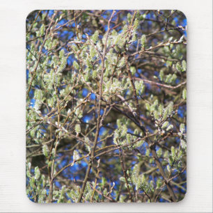 TAPIS DE SOURIS SAULE DE PRINTEMPS