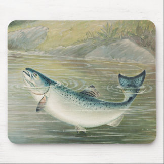 Tapis De Souris Saumon de Californie par S.A. Kilbourne, Poisson V