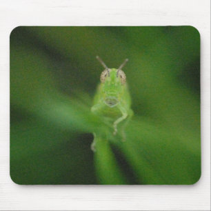 Tapis De Souris Sauterelle Mousepad