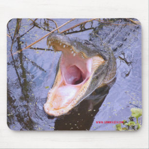 Tapis De Souris Sautez dedans !  L'amende de l'eau !