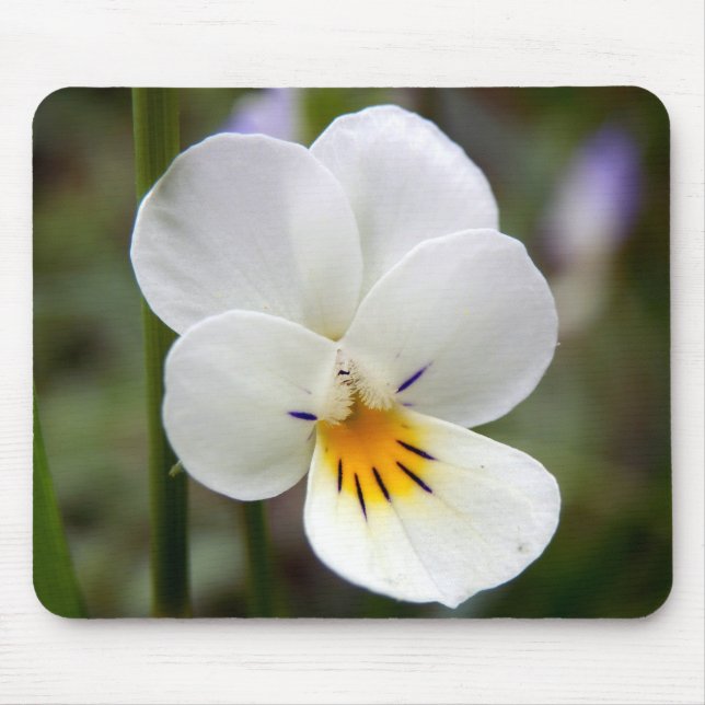 Tapis De Souris Sauvage Pansy Mouse Mat (Devant)