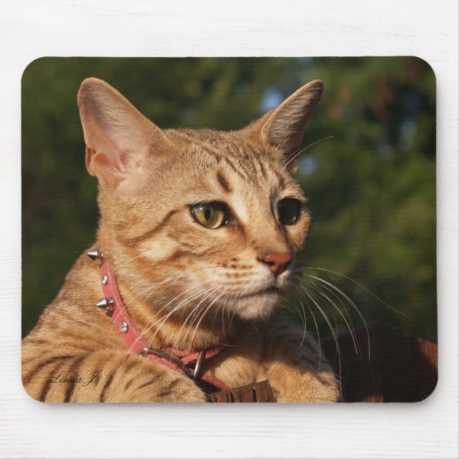 Tapis De Souris Savannah Chat Mousepad (Devant)