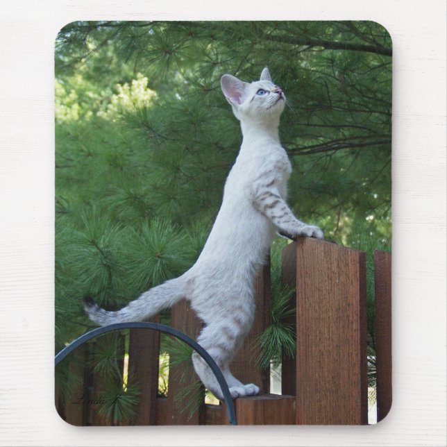 Tapis De Souris Savannah Chat Mousepad (Devant)