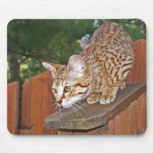 Tapis De Souris Savannah Chat Mousepad