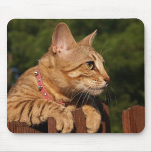 Tapis De Souris Savannah Chat Mousepad