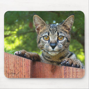 Tapis De Souris Savannah Chat Mousepad