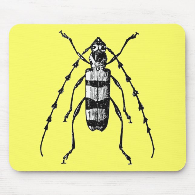 Tapis De Souris Scarabée (Devant)