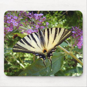 Tapis De Souris Scarce Swallowtail Butterfly Mouse Mat