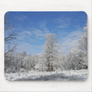 Tapis De Souris Scène hivernale du nord-est