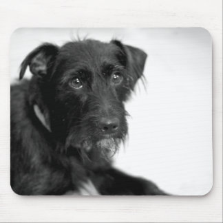 Tapis De Souris Schnauzer mignon Terrier Mousepad blanc noir de