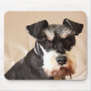 Tapis De Souris schnauzer miniature