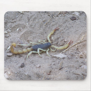 Tapis De Souris Scorpion