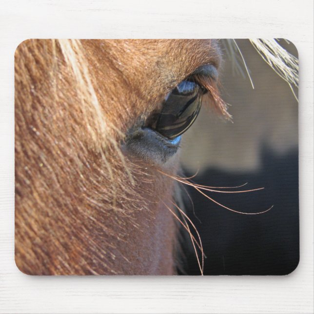 Tapis De Souris Scotch Extreme Closeup (Devant)