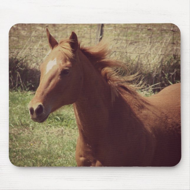 Tapis De Souris Scotch in Motion (Devant)