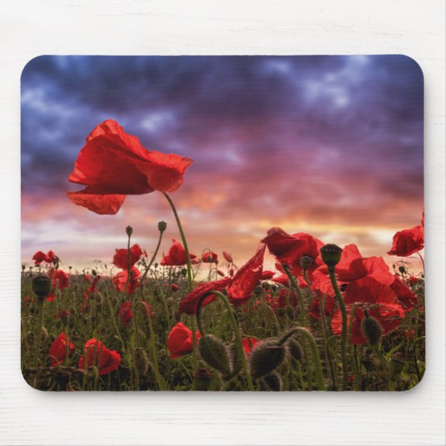 Tapis De Souris Se rappeler le champ de | des pavots (Devant)