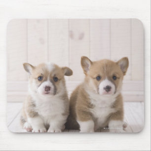 Tapis De Souris Se reposer de deux corgis de Gallois