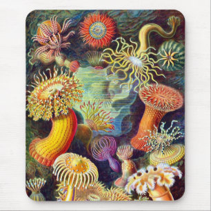 Tapis De Souris Sea Anemones Ernst Haeckel Art