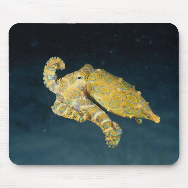 Tapis De Souris Sea Life - Octopus (Devant)