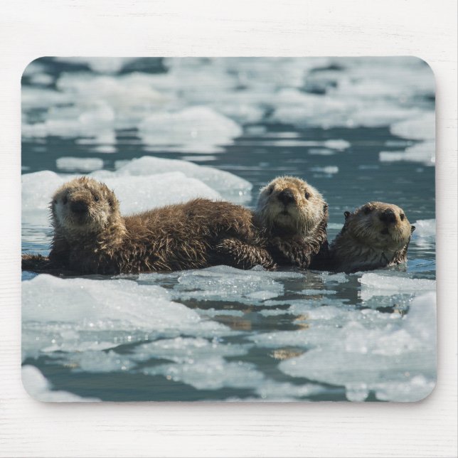 Tapis De Souris Sea Otter Family (Devant)