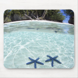 Tapis De Souris Sea stars, Rock Islands, Palau 2