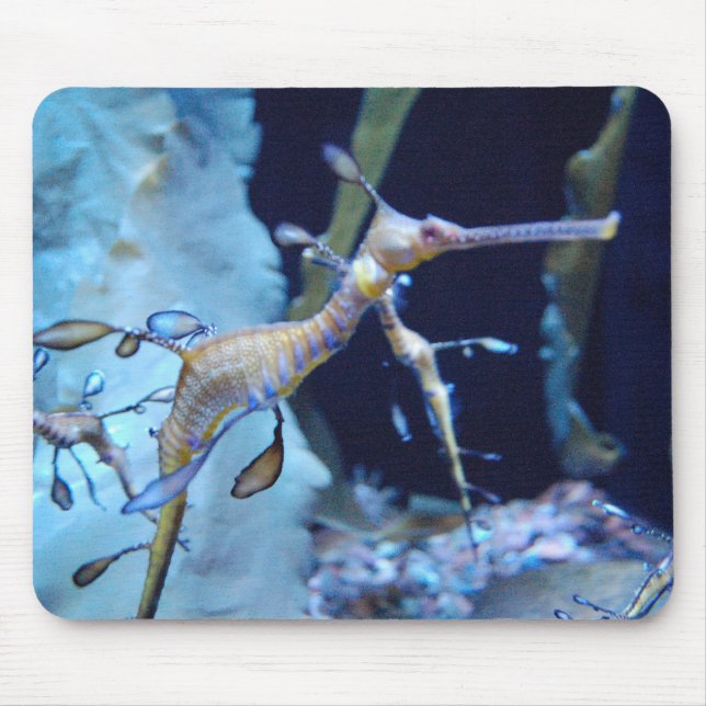 Tapis De Souris SeaDragon (Devant)