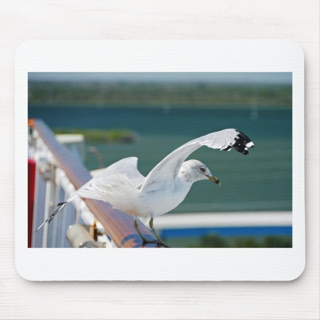 Tapis De Souris Seagull.JPG (Devant)