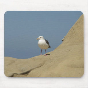 Tapis De Souris Seagull, La Jolla, Californie