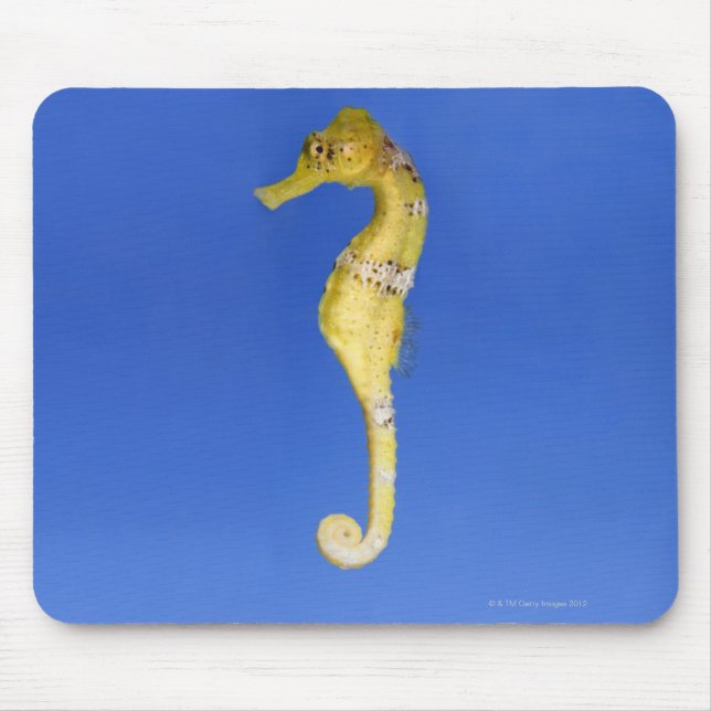 Tapis De Souris Seahorse (Devant)