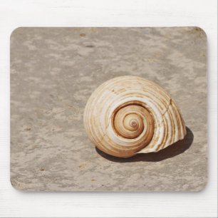 Tapis De Souris SeaShell