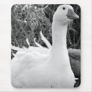Tapis De Souris Sebastopol Goose