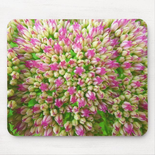 Tapis De Souris Sedum Automne Joy (Devant)