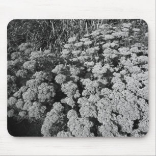 Tapis De Souris Sedum Automne Joy (B&W)