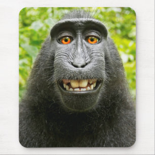 Tapis De Souris Selfie de singe