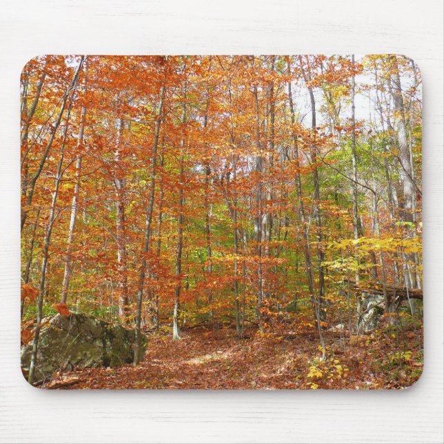 Tapis De Souris Sentier de l'automne de la lumière du soleil au pa (Devant)