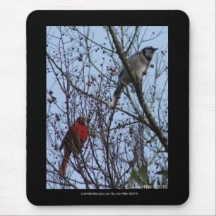 Tapis De Souris Sentinels Blue Jay et Cardinal par Lee Hiller