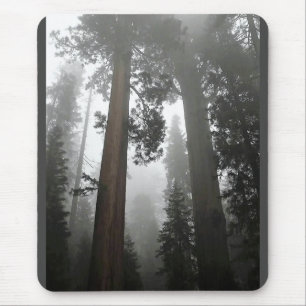 Tapis De Souris Séquoia géantes dans le brouillard, CA