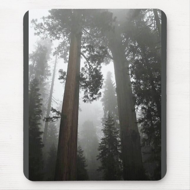 Tapis De Souris Séquoia géantes dans le brouillard, CA (Devant)