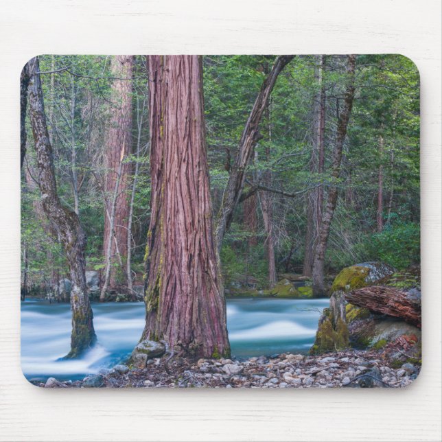 Tapis De Souris Séquoias & Merced River Parc national de Yosemite, (Devant)