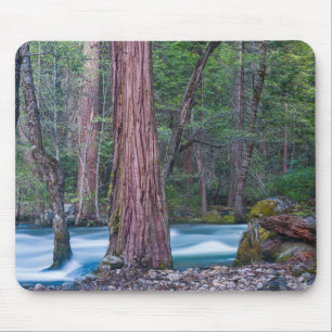 Tapis De Souris Sequoias & Merced River Yosemite National Park, CA