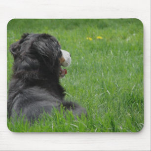 Tapis De Souris Serena au soleil 2